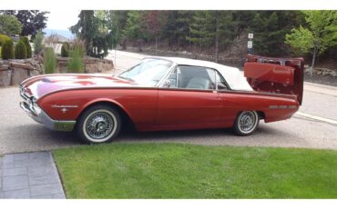 Ford-Thunderbird-1962-Chestnut-Pearlescent-Beige-16