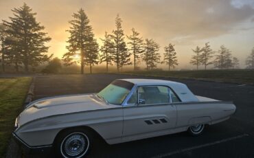 Ford-Thunderbird-1963-Coupe-7