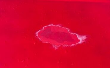 Ford-Thunderbird-1963-Red-26