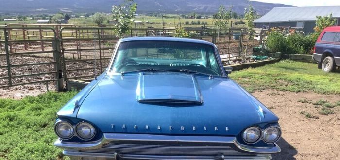 Ford-Thunderbird-1964-1