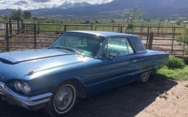 Ford-Thunderbird-1964-2