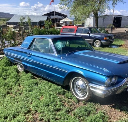 Ford-Thunderbird-1964-3
