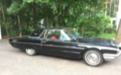 Ford Thunderbird 1964 Coupe