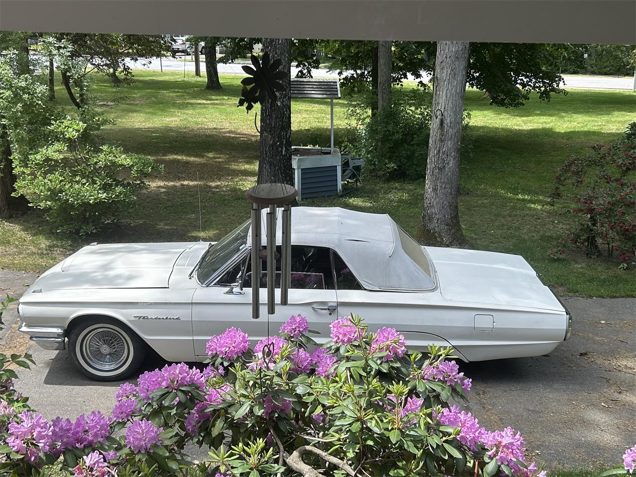 Ford-Thunderbird-1964-White-Black-15