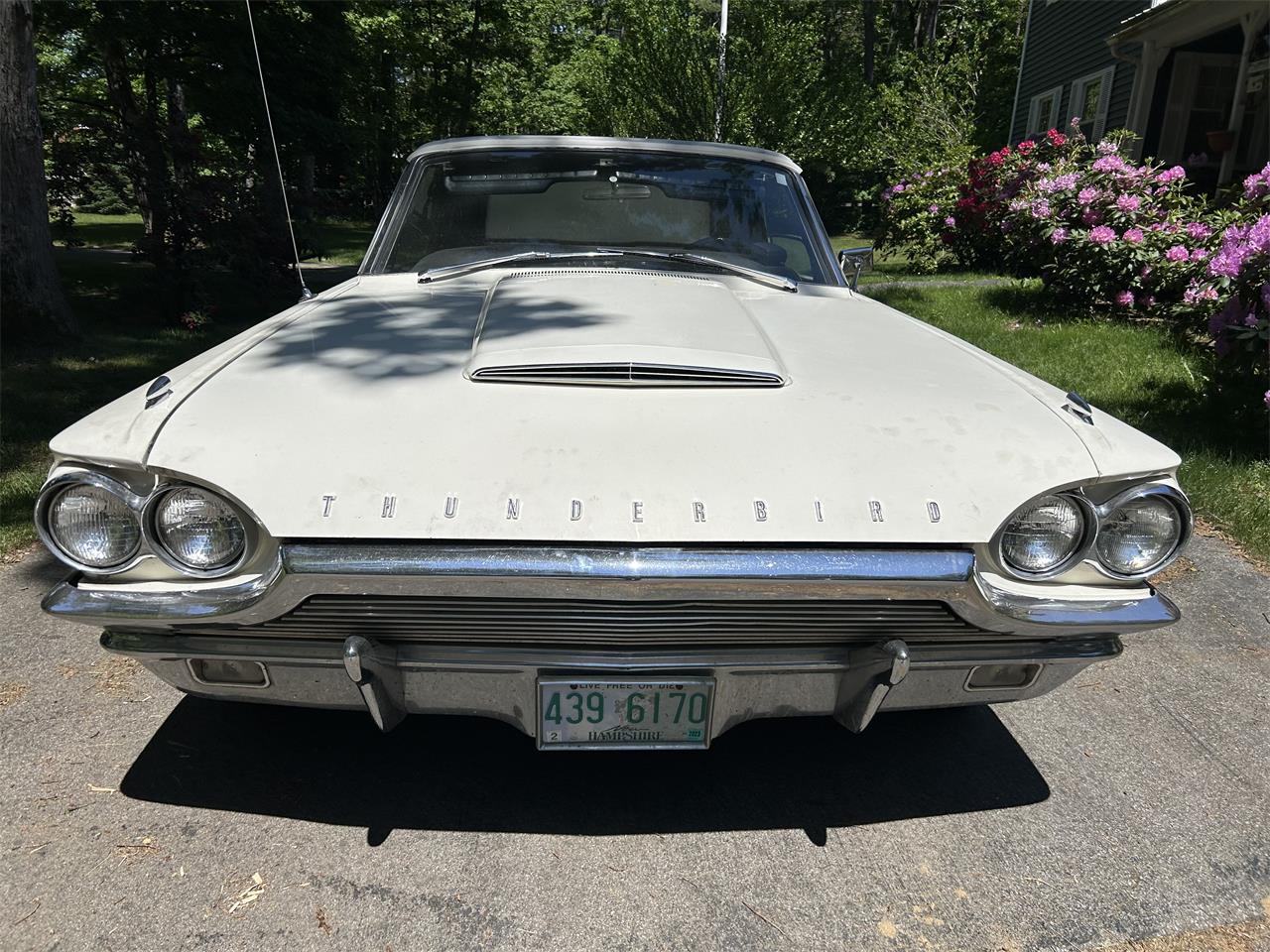 Ford-Thunderbird-1964-White-Black-6