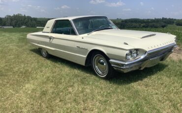 Ford-Thunderbird-1964-White-Blue-17