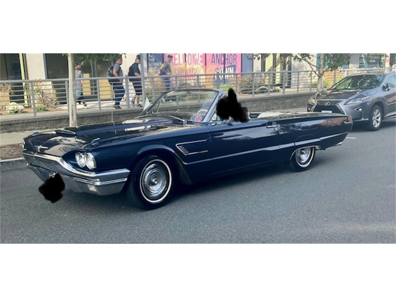 Ford-Thunderbird-1965-Caspian-Blue-White-3