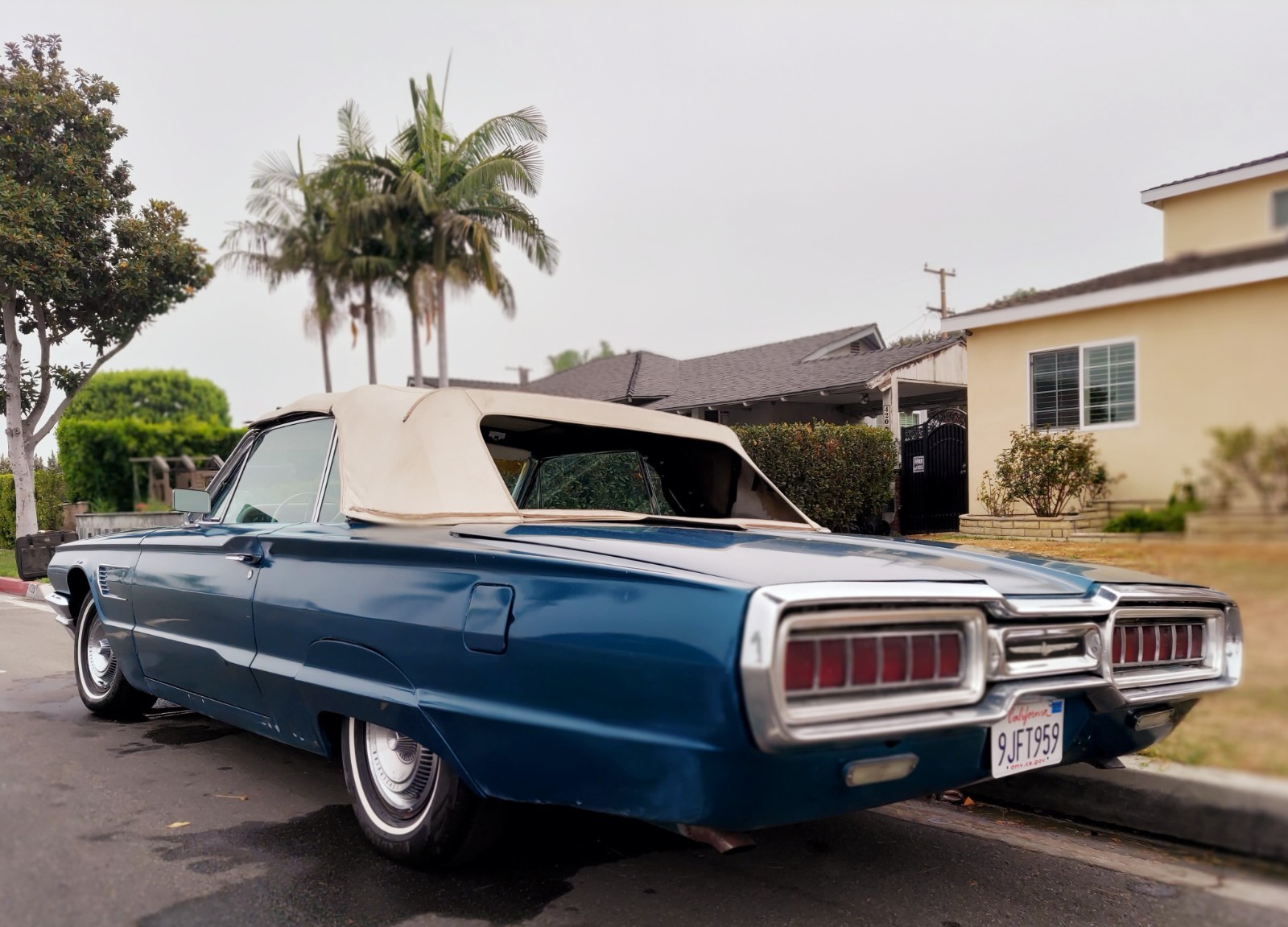 Ford-Thunderbird-1965-Convertible-8