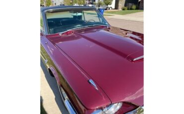 Ford-Thunderbird-1965-Vintage-Burgundy-Black-5