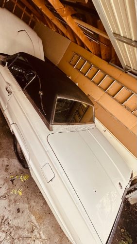 Ford-Thunderbird-1966