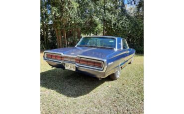 Ford-Thunderbird-1966-Blue-Blue-12