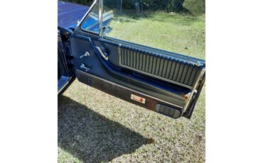 Ford-Thunderbird-1966-Blue-Blue