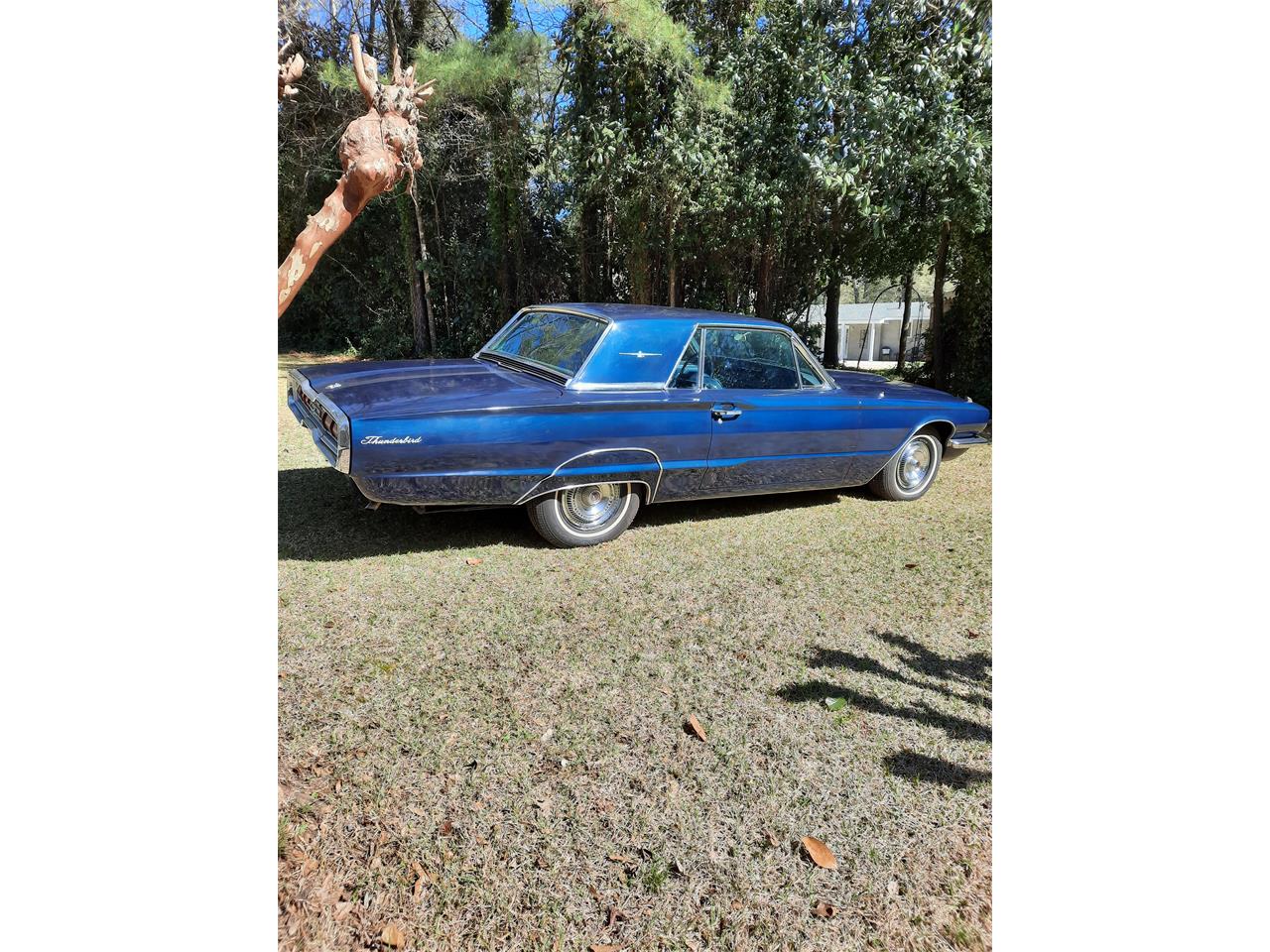Ford-Thunderbird-1966-Blue-Blue-9