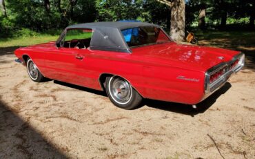 Ford-Thunderbird-1966-Coupe-1