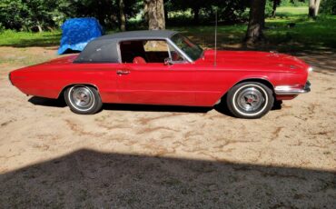 Ford-Thunderbird-1966-Coupe-32