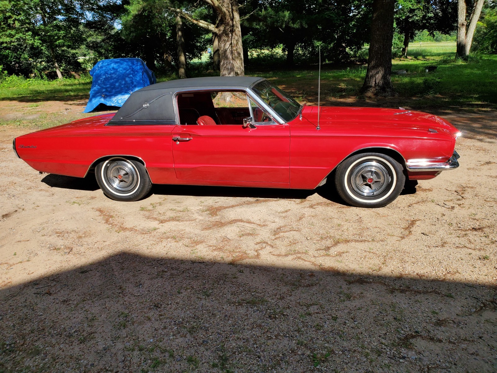 Ford-Thunderbird-1966-Coupe-32
