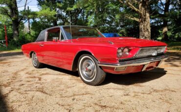 Ford-Thunderbird-1966-Coupe
