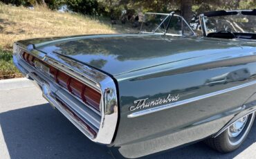 Ford-Thunderbird-1966-Ivy-Green-Black-17
