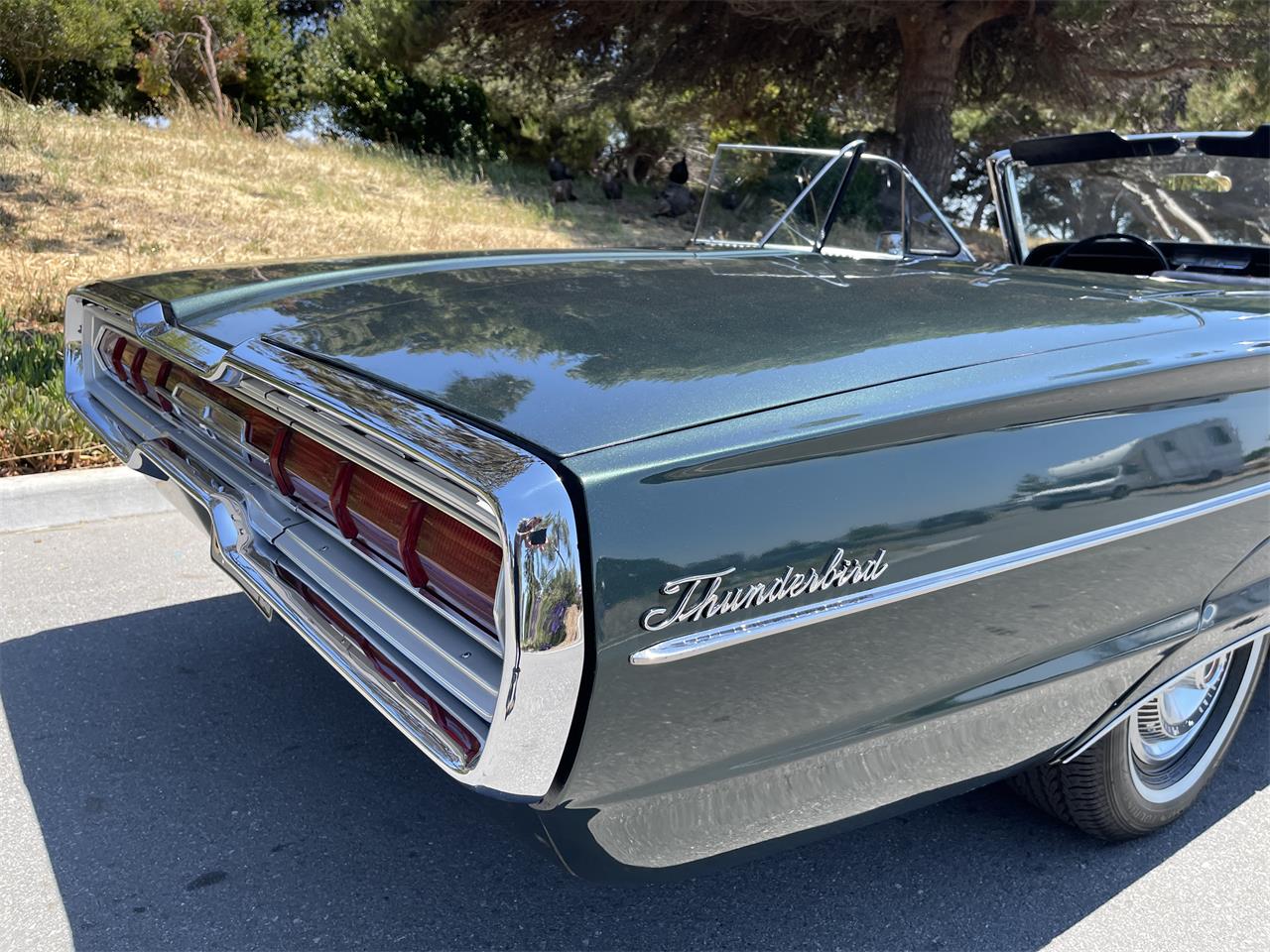 Ford-Thunderbird-1966-Ivy-Green-Black-17
