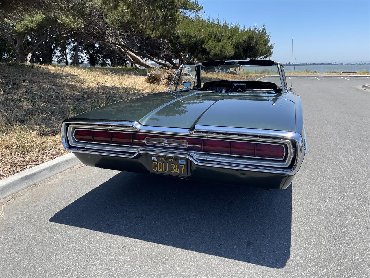 Ford-Thunderbird-1966-Ivy-Green-Black-2