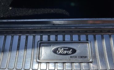 Ford-Thunderbird-1966-Ivy-Green-Black-22