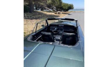 Ford-Thunderbird-1966-Ivy-Green-Black-23