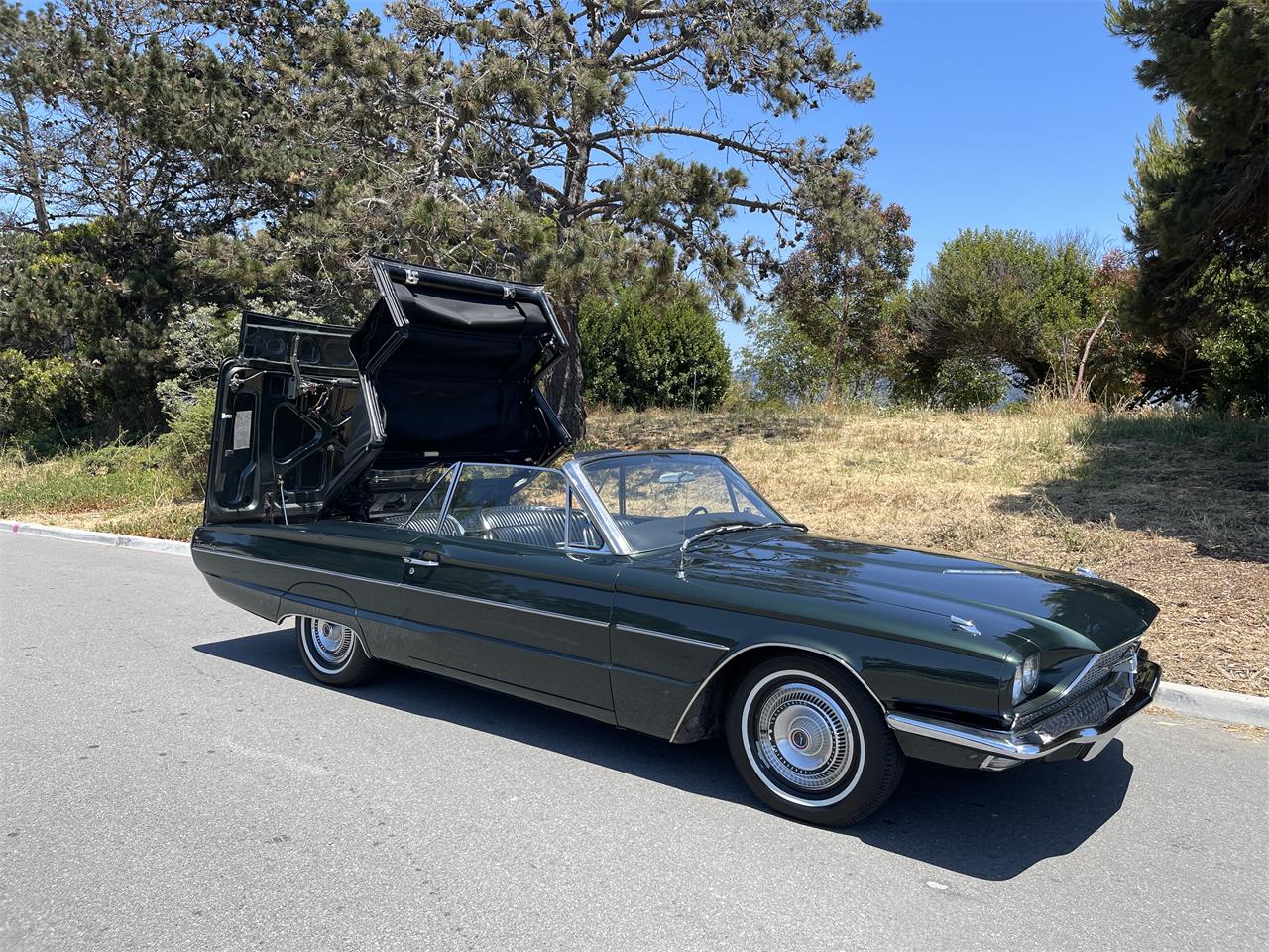 Ford-Thunderbird-1966-Ivy-Green-Black-25