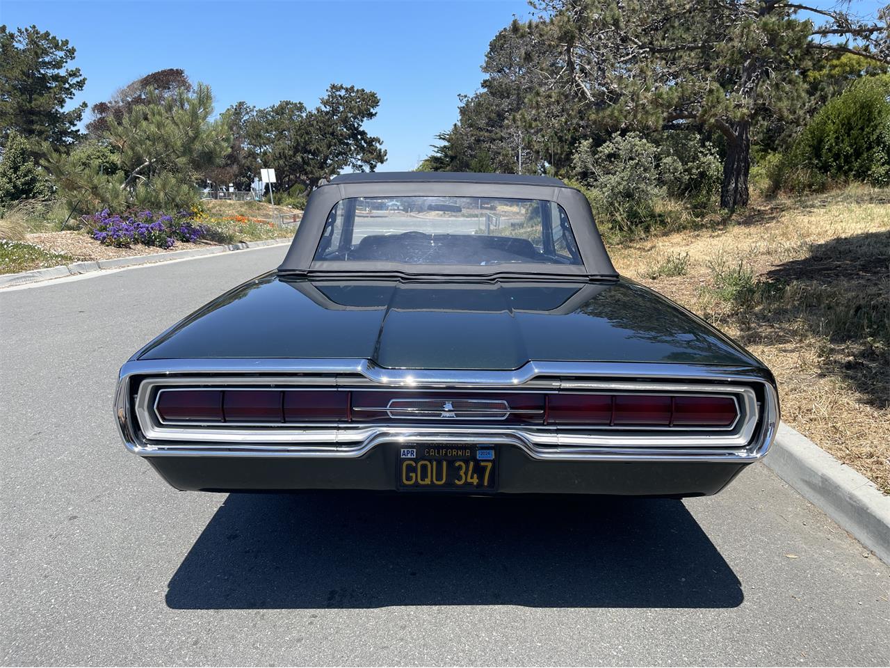 Ford-Thunderbird-1966-Ivy-Green-Black-3