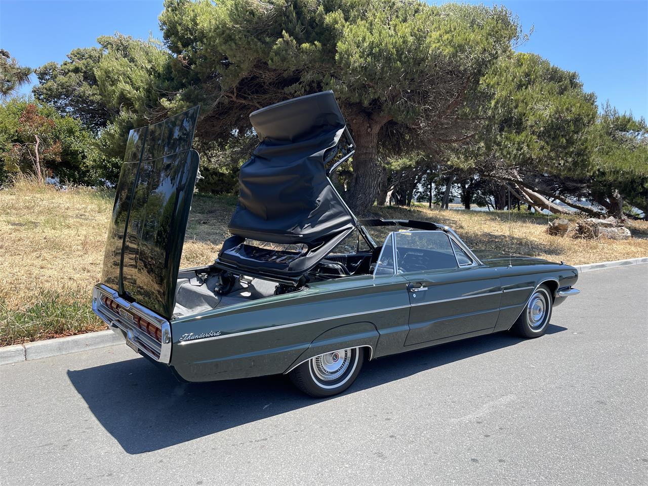 Ford-Thunderbird-1966-Ivy-Green-Black-30