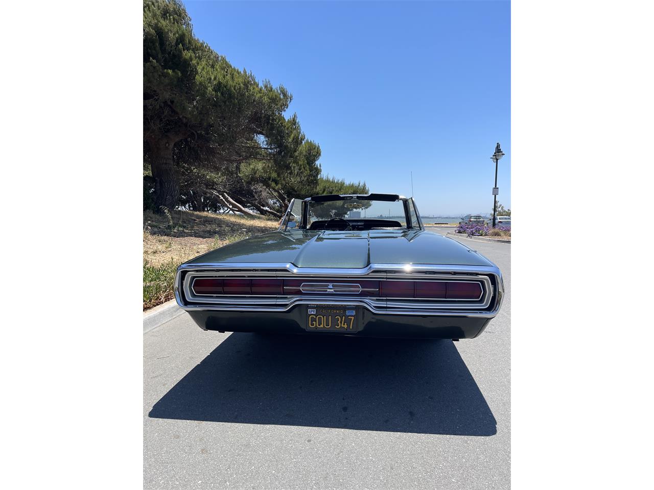 Ford-Thunderbird-1966-Ivy-Green-Black-4