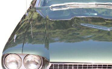 Ford-Thunderbird-1966-Ivy-Green-Black-42