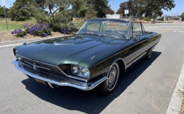 Ford-Thunderbird-1966-Ivy-Green-Black-5