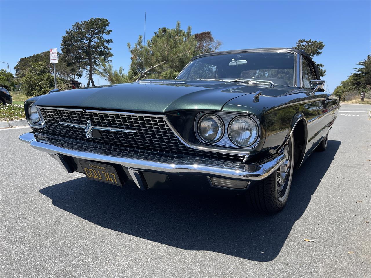Ford-Thunderbird-1966-Ivy-Green-Black-6