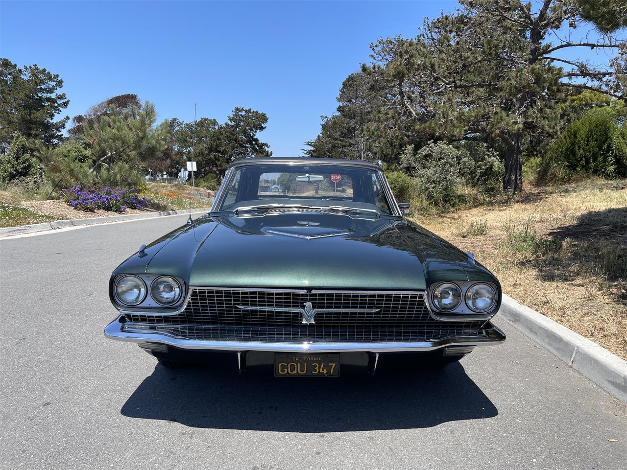 Ford-Thunderbird-1966-Ivy-Green-Black-7