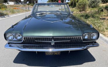 Ford-Thunderbird-1966-Ivy-Green-Black-8