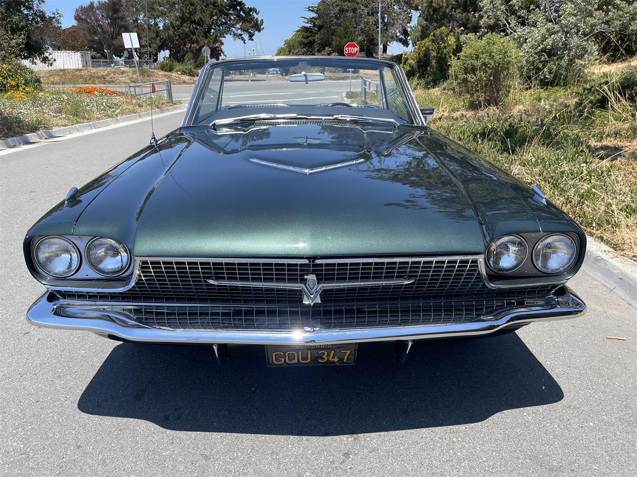 Ford-Thunderbird-1966-Ivy-Green-Black-8
