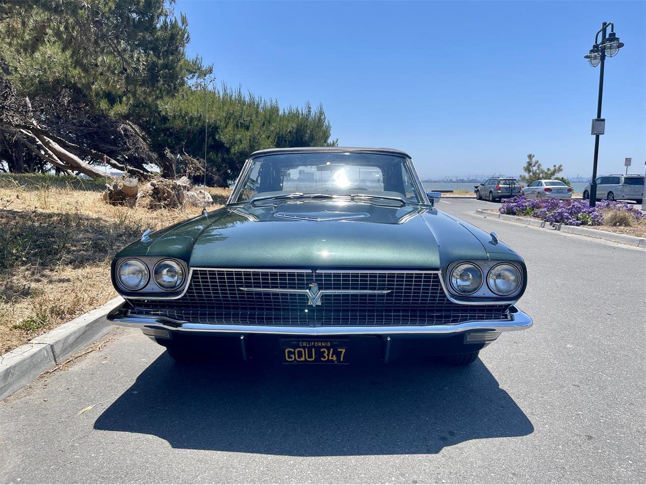 Ford-Thunderbird-1966-Ivy-Green-Black-9