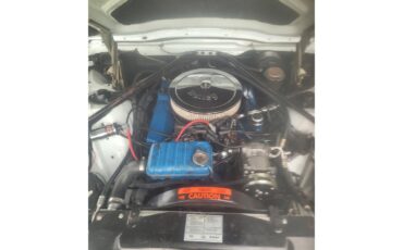 Ford-Thunderbird-1966-Platinum-Blue-amp-White-Pearl-18