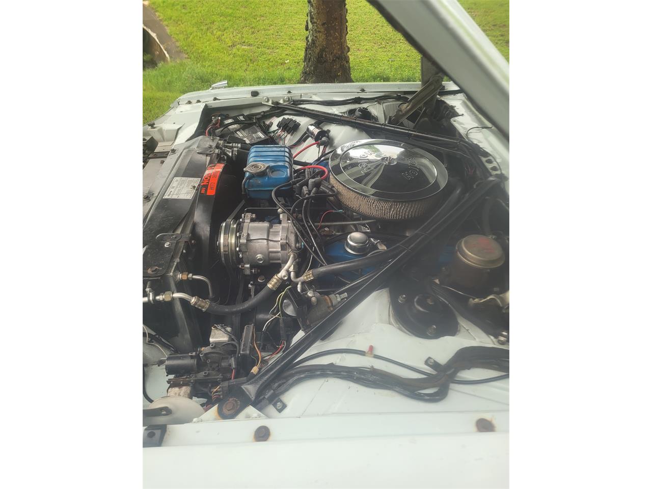 Ford-Thunderbird-1966-Platinum-Blue-amp-White-Pearl-25
