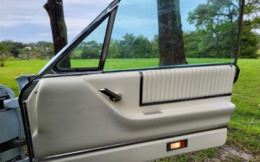 Ford-Thunderbird-1966-Platinum-Blue-amp-White-Pearl-5