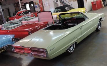 Ford-Thunderbird-1966-Spring-Time-Yellow-14
