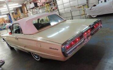 Ford-Thunderbird-1966-Spring-Time-Yellow-19