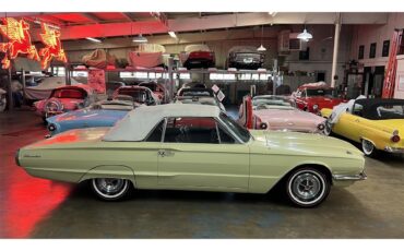 Ford-Thunderbird-1966-Spring-Time-Yellow-21
