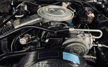 Ford-Thunderbird-1979-Coupe-11