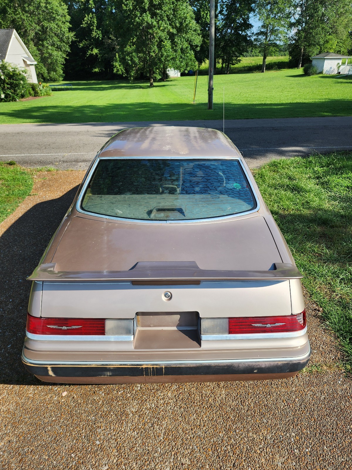 Ford-Thunderbird-1986-Sedan-5