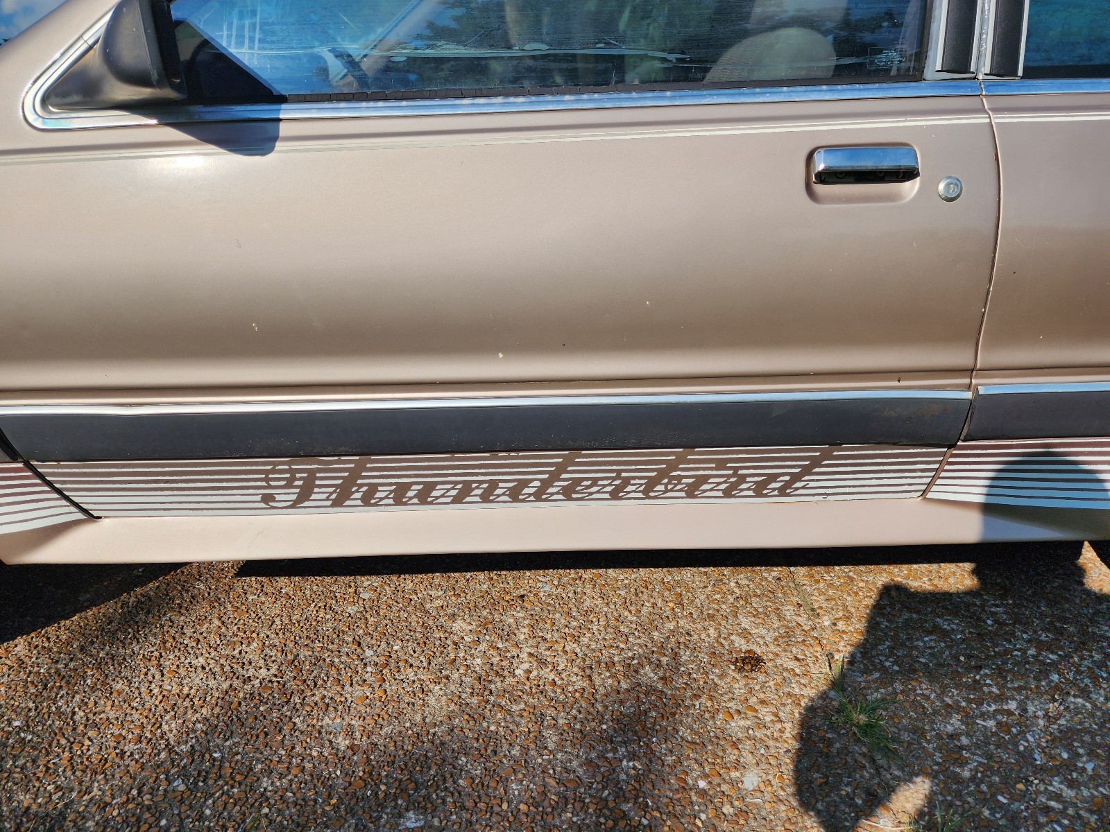 Ford-Thunderbird-1986-Sedan-6