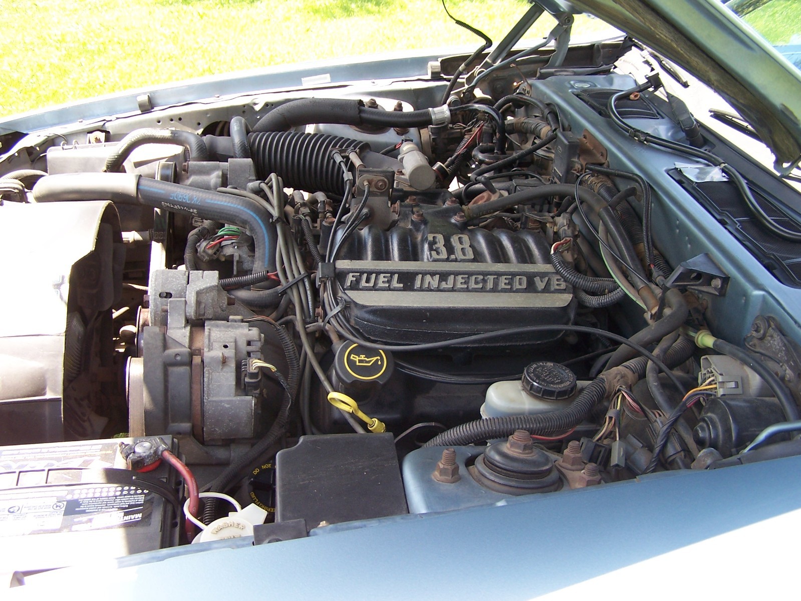 Ford-Thunderbird-1988-Coupe-11
