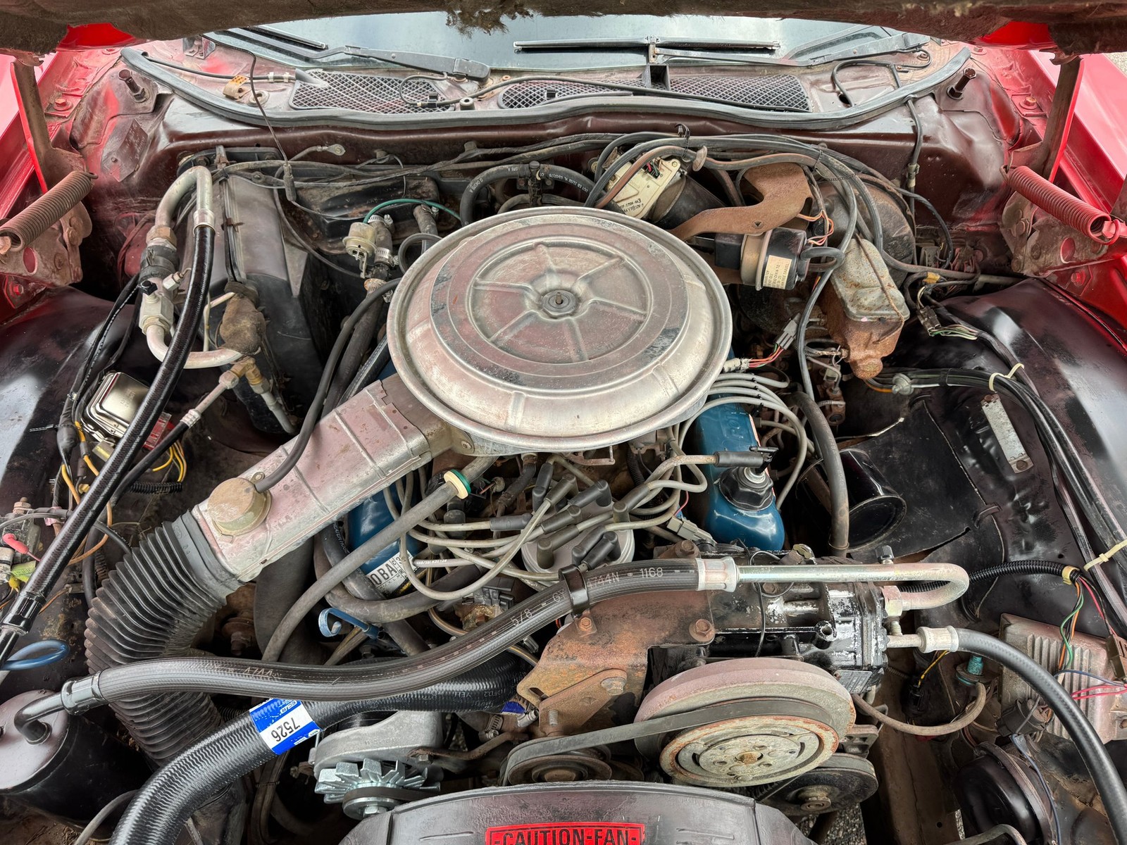 Ford-Thunderbird-Convertible-1978-Convertible-13