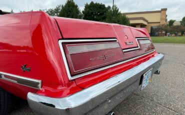 Ford-Thunderbird-Convertible-1978-Convertible-30