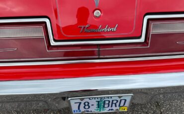 Ford-Thunderbird-Convertible-1978-Convertible-35